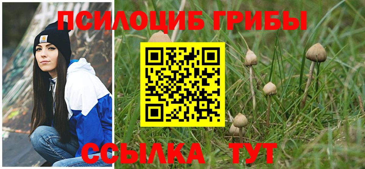 Галлюциногенные грибы MAGIC MUSHROOMS  даркнет сайт  Волгодонск  Вход с VPN  Галлюциногенные грибы GOLDEN TEACHER 