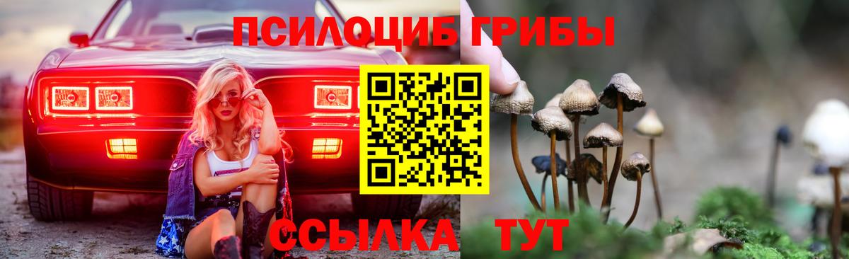 Галлюциногенные грибы Cubensis Волгодонск