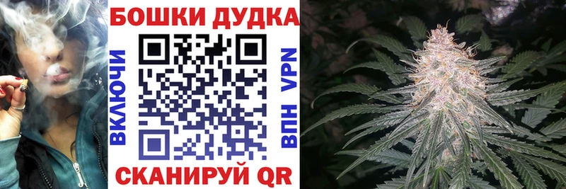 Бошки Шишки ГИДРОПОН  Волгодонск 