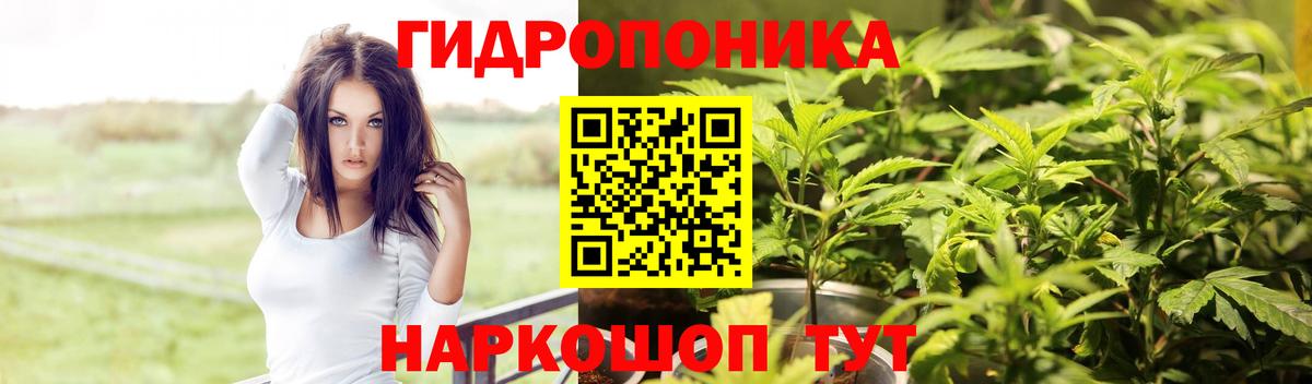 Бошки Шишки семена Волгодонск